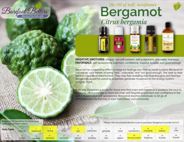Barefoot Betters &lsquo;Bergamot, the Oil of Self-Acceptance&rsquo; graphic showing bergamot fruit, several brands of bergamot essential oil, its associated emotions, and a body-type reference chart