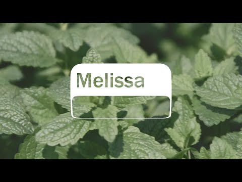 Video thumbnail for the YouTube video ‘doTERRA - Melissa’