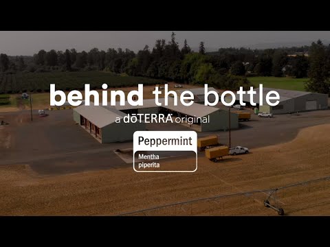 Video thumbnail for the YouTube video ‘Peppermint Essential Oil | doTERRA Behind the Bottle (Translated Subtitles)’