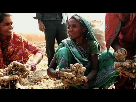 Video thumbnail for the YouTube video ‘Behind the Bottle |Turmeric’