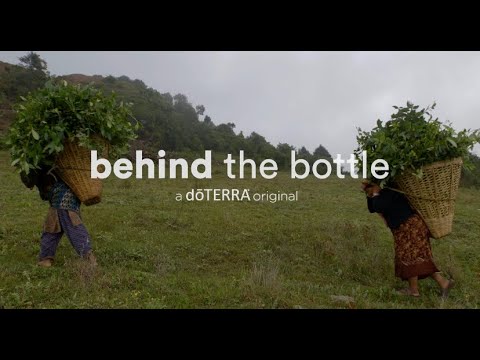 Video thumbnail for the YouTube video ‘Wintergreen Essential Oil | doTERRA Behind the Bottle: Episode 15’