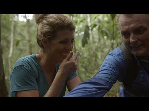 Video thumbnail for the YouTube video ‘Copaiba Essential Oil | Behind the Bottle’