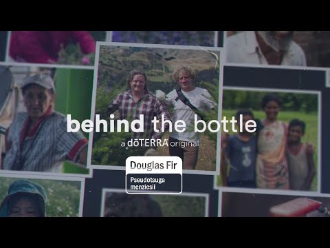 Video thumbnail for the YouTube video ‘Douglas Fir Essential Oil | doTERRA Behind the Bottle: Episode 4’
