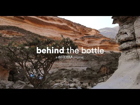 Video thumbnail for the YouTube video ‘Frankincense Essential Oil | doTERRA Behind the Bottle: Episode 10’