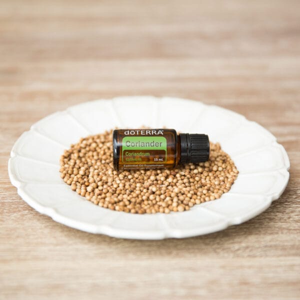 doTERRA Coriander 15 mL essential oil bottle resting on a white plate of coriander seeds