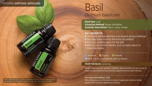 doTERRA Wellness Advocate infographic for Basil essential oil, listing its plant part, extraction method, aromatic description, and key benefits