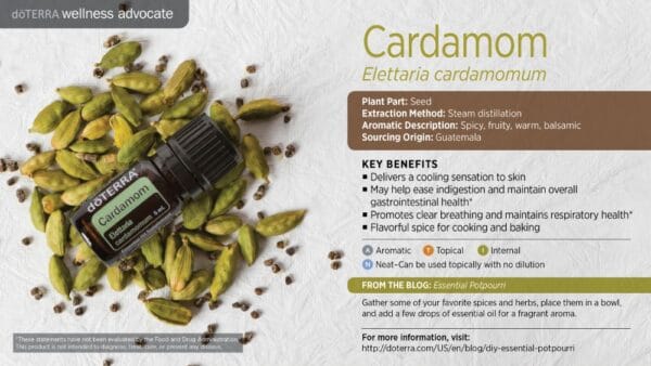 doTERRA Wellness Advocate infographic for Cardamom essential oil, listing its plant part, extraction method, aromatic description, and key benefits