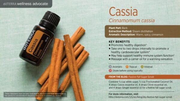 doTERRA Wellness Advocate infographic for Cassia essential oil, listing its plant part, extraction method, aromatic description, and key benefits