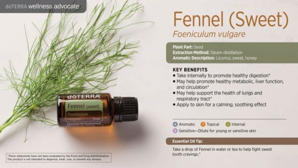 doTERRA Wellness Advocate infographic for Fennel essential oil, listing its plant part, extraction method, aromatic description, and key benefits