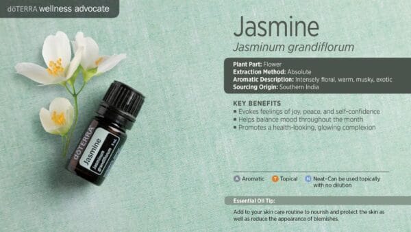 doTERRA Wellness Advocate infographic for Jasmine essential oil, listing its plant part, extraction method, aromatic description, and key benefits