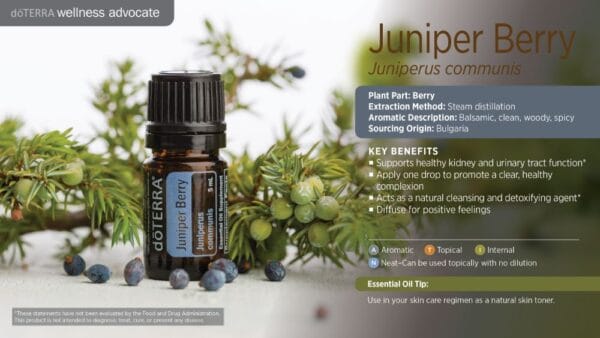 doTERRA Wellness Advocate infographic for Juniper Berry essential oil, listing its plant part, extraction method, aromatic description, and key benefits