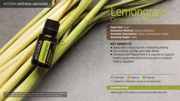 doTERRA Wellness Advocate infographic for Lemongrass essential oil, listing its plant part, extraction method, aromatic description, and key benefits