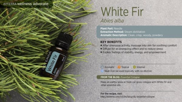 doTERRA Wellness Advocate infographic for White Fir essential oil, listing its plant part, extraction method, aromatic description, and key benefits