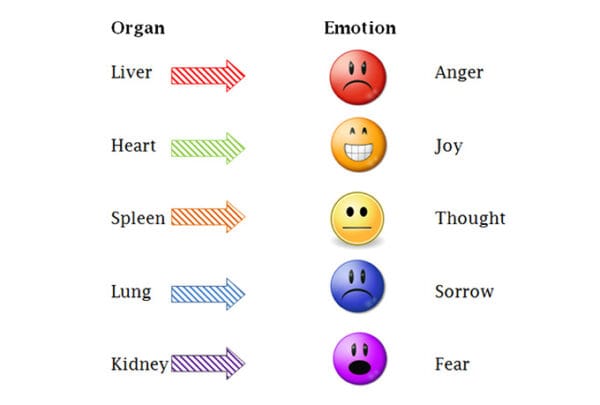 Traditional Chinese Medicine chart linking organs to emotions: liver to anger, heart to joy, spleen to thought, lung to sorrow, and kidney to fear