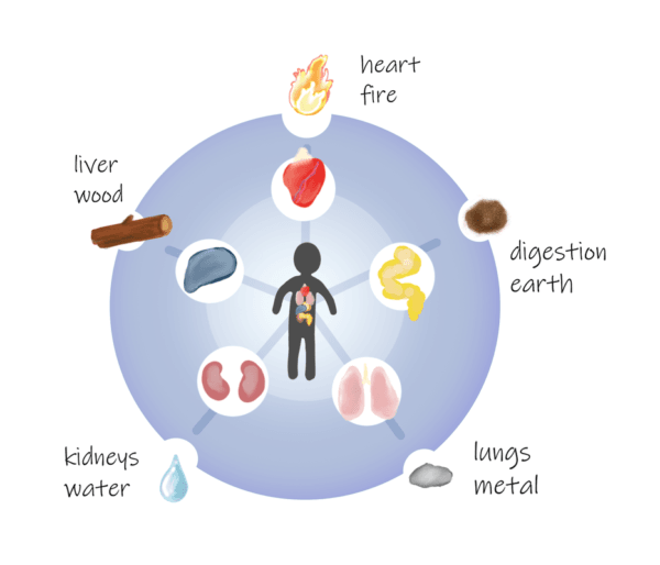 Five-element diagram linking each organ system to an element: heart to fire, digestion to earth, lungs to metal, kidneys to water, and liver to wood