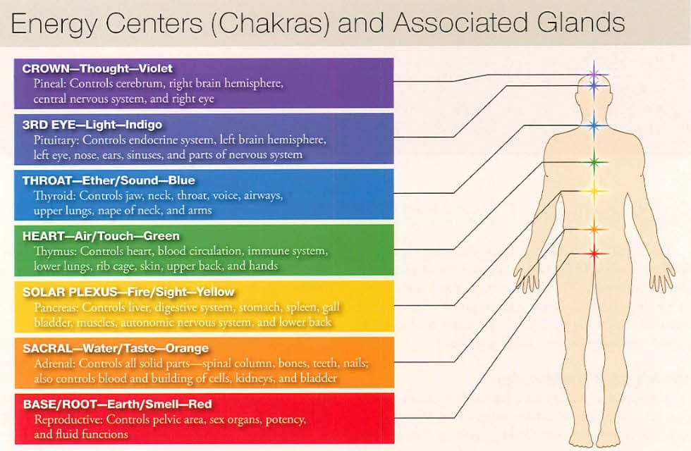 Diagram mapping the body&rsquo;s seven chakras to their associated endocrine glands
