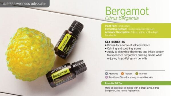 doTERRA Wellness Advocate infographic for Bergamot essential oil, listing its plant part, extraction method, aromatic description, and key benefits