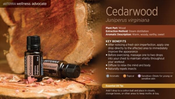 doTERRA Wellness Advocate infographic for Cedarwood essential oil, listing its plant part, extraction method, aromatic description, and key benefits