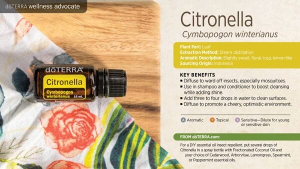 doTERRA Wellness Advocate infographic for Citronella essential oil, listing its plant part, extraction method, aromatic description, and key benefits