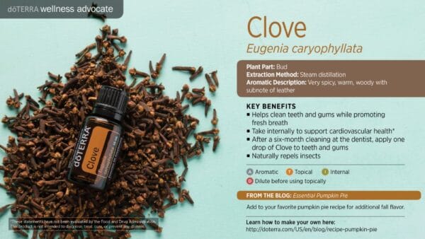 doTERRA Wellness Advocate infographic for Clove essential oil, listing its plant part, extraction method, aromatic description, and key benefits