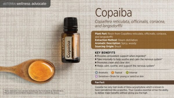 doTERRA Wellness Advocate infographic for Copaiba essential oil, listing its plant part, extraction method, aromatic description, and key benefits