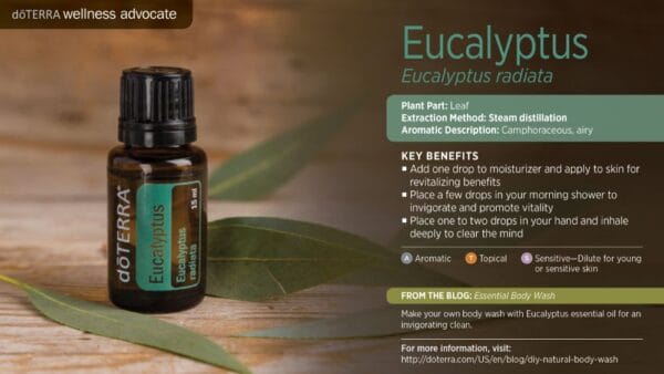 doTERRA Wellness Advocate infographic for Eucalyptus essential oil, listing its plant part, extraction method, aromatic description, and key benefits