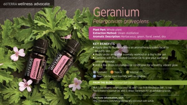 doTERRA Wellness Advocate infographic for Geranium essential oil, listing its plant part, extraction method, aromatic description, and key benefits