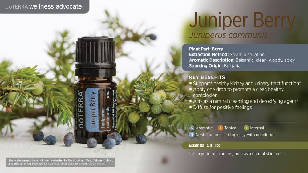 doTERRA Wellness Advocate infographic for Juniper Berry essential oil, listing its plant part, extraction method, aromatic description, and key benefits