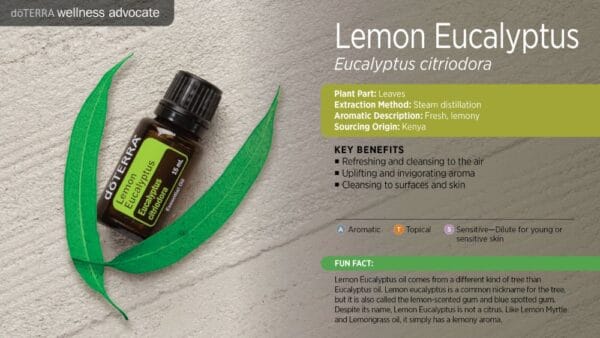 doTERRA Wellness Advocate infographic for Lemon Eucalyptus essential oil, listing its plant part, extraction method, aromatic description, and key benefits