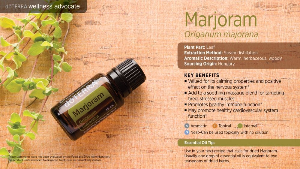 doTERRA Wellness Advocate infographic for Marjoram essential oil, listing its plant part, extraction method, aromatic description, and key benefits