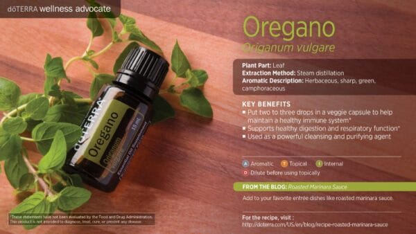 doTERRA Wellness Advocate infographic for Oregano essential oil, listing its plant part, extraction method, aromatic description, and key benefits