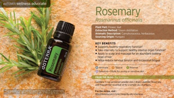 doTERRA Wellness Advocate infographic for Rosemary essential oil, listing its plant part, extraction method, aromatic description, and key benefits