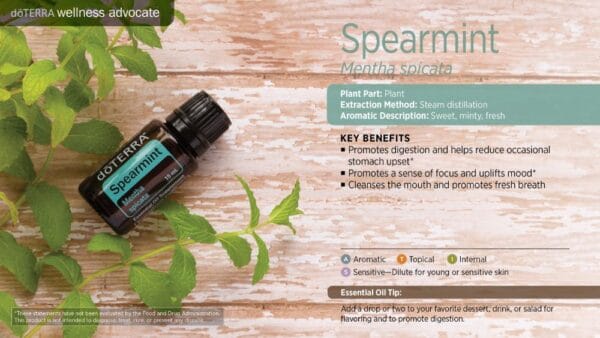 doTERRA Wellness Advocate infographic for Spearmint essential oil, listing its plant part, extraction method, aromatic description, and key benefits