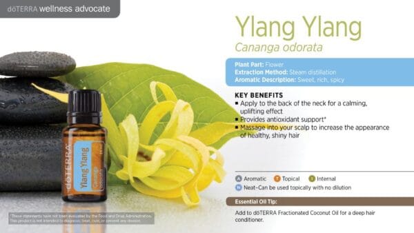 doTERRA Wellness Advocate infographic for Ylang Ylang essential oil, listing its plant part, extraction method, aromatic description, and key benefits
