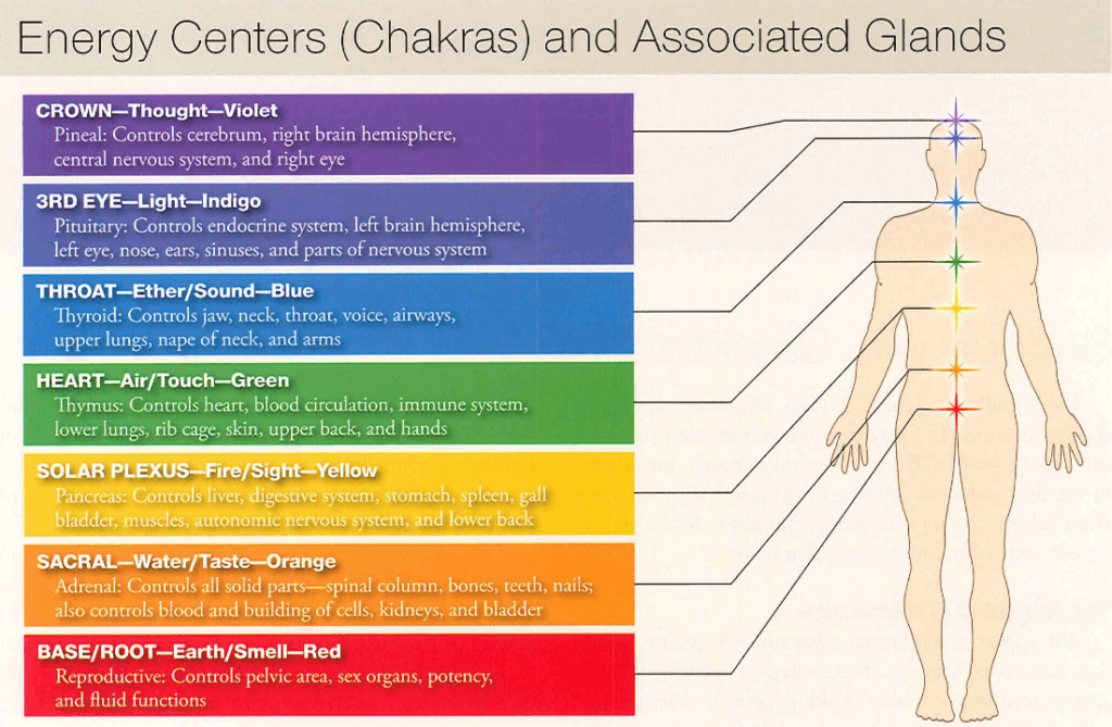 Diagram mapping the body’s seven chakras to their associated endocrine glands