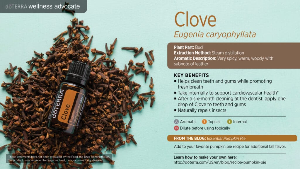 doTERRA Wellness Advocate infographic for Clove essential oil, listing its plant part, extraction method, aromatic description, and key benefits