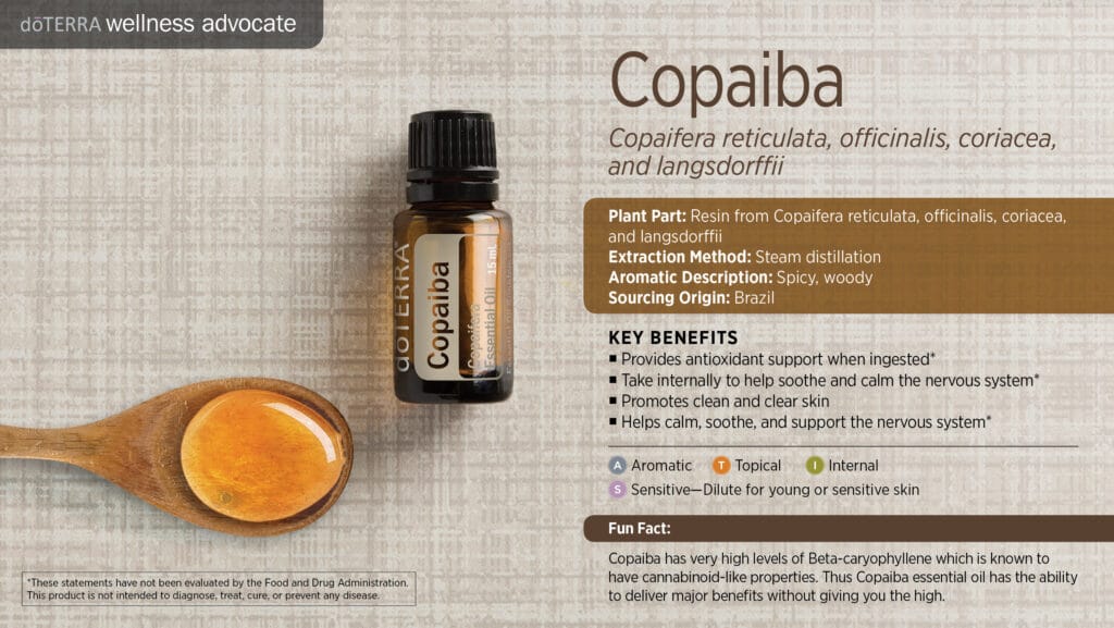 doTERRA Wellness Advocate infographic for Copaiba essential oil, listing its plant part, extraction method, aromatic description, and key benefits