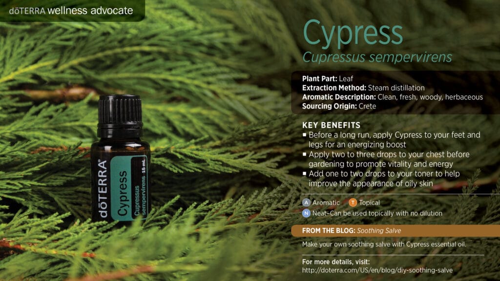 doTERRA Wellness Advocate infographic for Cypress 1 essential oil, listing its plant part, extraction method, aromatic description, and key benefits