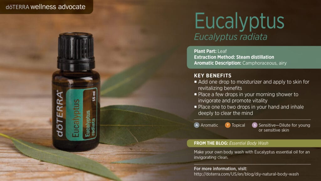 doTERRA Wellness Advocate infographic for Eucalyptus essential oil, listing its plant part, extraction method, aromatic description, and key benefits