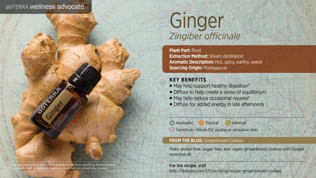 doTERRA Wellness Advocate infographic for Ginger essential oil, listing its plant part, extraction method, aromatic description, and key benefits