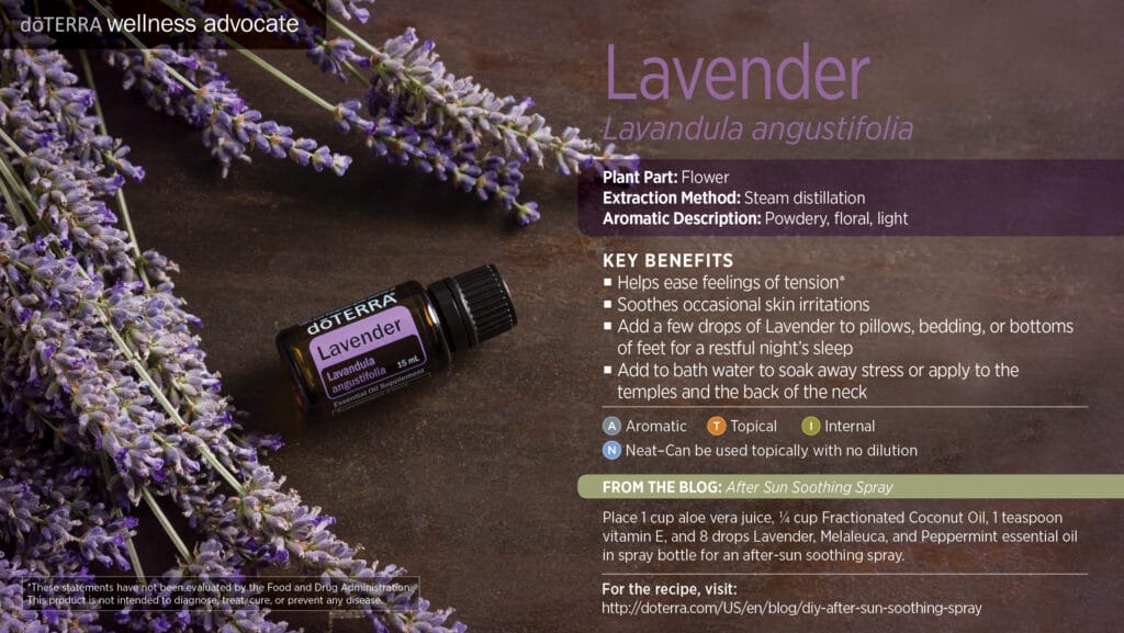 doTERRA Wellness Advocate infographic for Lavender essential oil, listing its plant part, extraction method, aromatic description, and key benefits