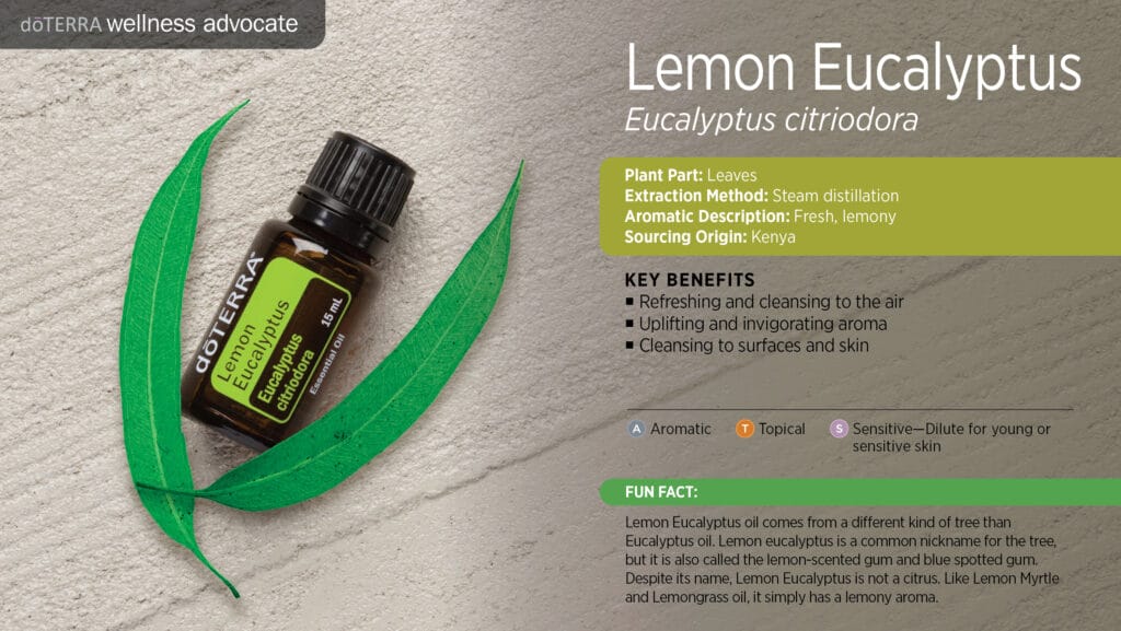 doTERRA Wellness Advocate infographic for Lemon Eucalyptus essential oil, listing its plant part, extraction method, aromatic description, and key benefits