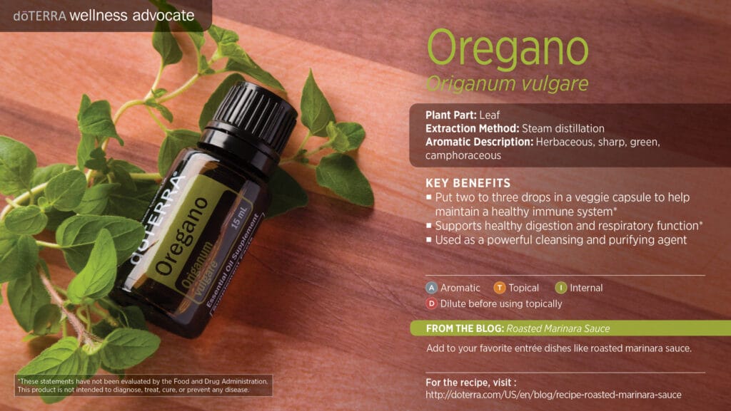 doTERRA Wellness Advocate infographic for Oregano essential oil, listing its plant part, extraction method, aromatic description, and key benefits