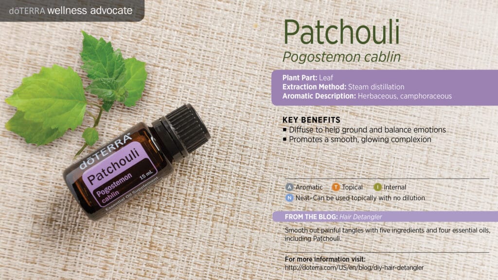 doTERRA Wellness Advocate infographic for Patchouli essential oil, listing its plant part, extraction method, aromatic description, and key benefits