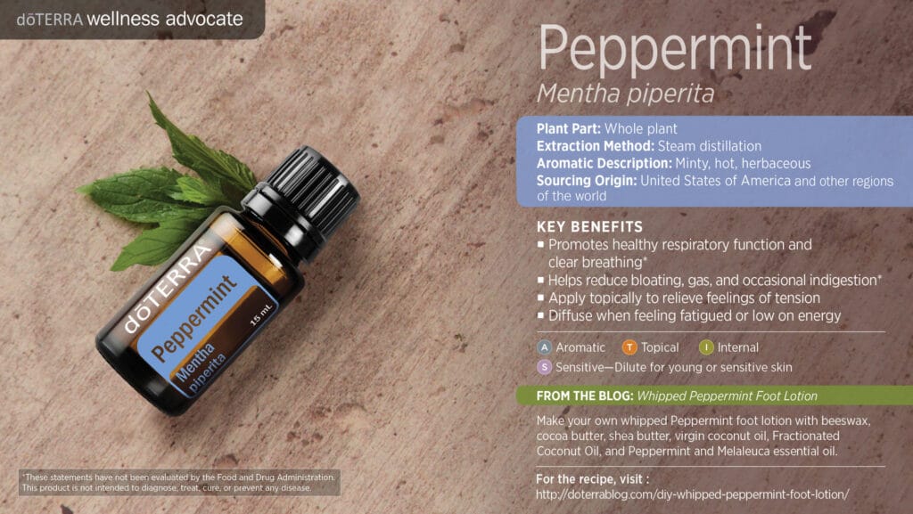 doTERRA Wellness Advocate infographic for Peppermint essential oil, listing its plant part, extraction method, aromatic description, and key benefits