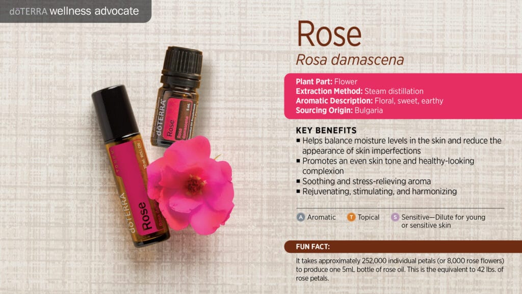 doTERRA Wellness Advocate infographic for Rose Touch essential oil, listing its plant part, extraction method, aromatic description, and key benefits