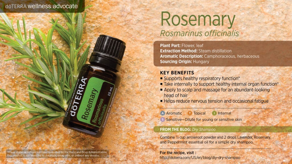 doTERRA Wellness Advocate infographic for Rosemary essential oil, listing its plant part, extraction method, aromatic description, and key benefits