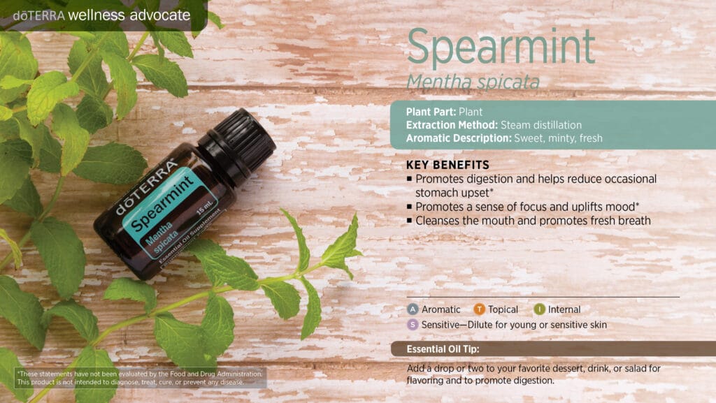 doTERRA Wellness Advocate infographic for Spearmint essential oil, listing its plant part, extraction method, aromatic description, and key benefits