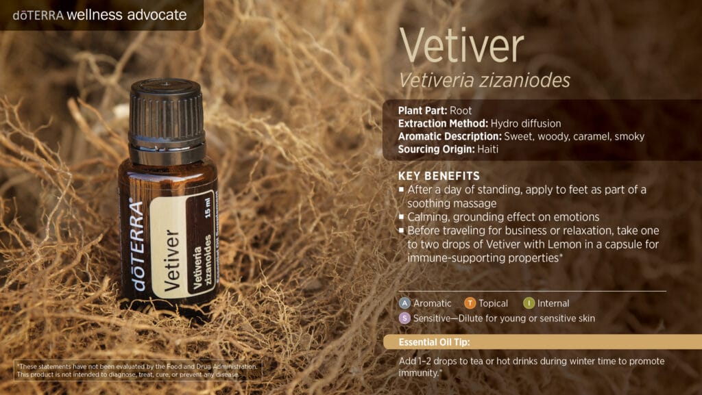 doTERRA Wellness Advocate infographic for Vetiver essential oil, listing its plant part, extraction method, aromatic description, and key benefits
