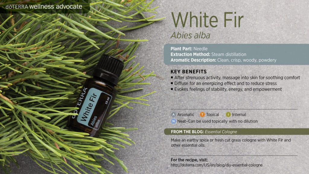 doTERRA Wellness Advocate infographic for White Fir essential oil, listing its plant part, extraction method, aromatic description, and key benefits